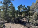 211 Bear Ln - Photo 20