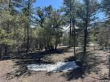 211 Bear Ln - Photo 23