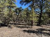 211 Bear Ln - Photo 24