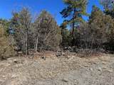 211 Bear Ln - Photo 27
