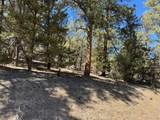 211 Bear Ln - Photo 5