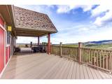 33186 Little Bear Dr - Photo 42