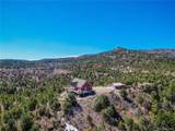 33186 Little Bear Dr - Photo 48