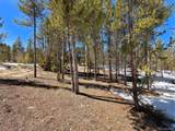 379 Lodgepole Dr - Photo 18