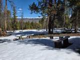 379 Lodgepole Dr - Photo 2