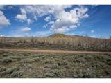 112 County Road 1901 - Photo 17