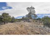 31950 Forest Service Road 376 - Photo 18