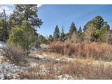 31950 Forest Service Road 376 - Photo 43