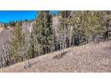513 Last Dollar Dr - Photo 19