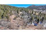 513 Last Dollar Dr - Photo 5