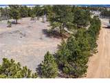185 Shenandoah Path - Photo 1