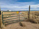 27954 Littleton Rd - Photo 10