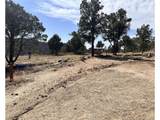 0 Big Pine Ridge - Photo 7