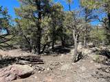 812 Goldmine Ol - Photo 6