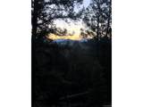6658 Remington Rd - Photo 17