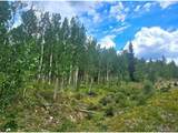 295 Silver Plume Rd - Photo 14