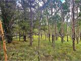 295 Silver Plume Rd - Photo 17