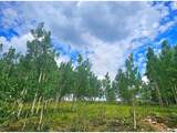 295 Silver Plume Rd - Photo 8