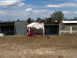 21350 County Road 10 - Photo 10