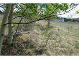 437 Overland Cir - Photo 11
