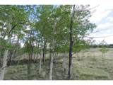 437 Overland Cir - Photo 14