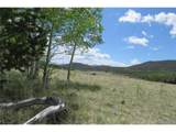 437 Overland Cir - Photo 20