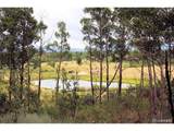 Thurber - Photo 42