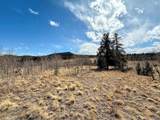 1238 Overland Cir - Photo 10