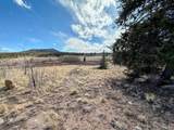 1238 Overland Cir - Photo 11