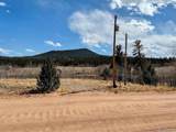 1238 Overland Cir - Photo 2