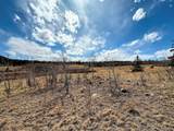 1238 Overland Cir - Photo 22
