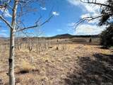 1238 Overland Cir - Photo 5