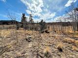 1238 Overland Cir - Photo 7