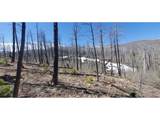 854 Slaoui Pl - Photo 1