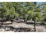 2210 Lone Pine - Photo 37