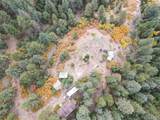 4950 Little Turkey Creek Rd - Photo 15