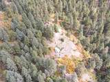 4950 Little Turkey Creek Rd - Photo 26