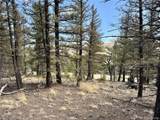 2601 Redhill Rd - Photo 10