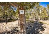 2601 Redhill Rd - Photo 11