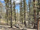 2601 Redhill Rd - Photo 22
