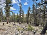 2601 Redhill Rd - Photo 42