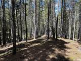 0 Spring Gulch - Photo 3
