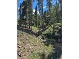 0 Spring Gulch - Photo 4