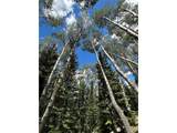 0 Spring Gulch - Photo 5