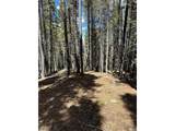 0 Spring Gulch - Photo 9