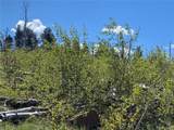 2142 Riccardo Ln - Photo 5