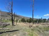 2142 Riccardo Ln - Photo 9