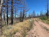 2169 Hayden Ln - Photo 3