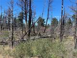2169 Hayden Ln - Photo 4