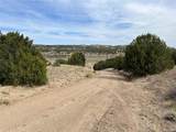 2 Red Creek Springs Rd - Photo 2